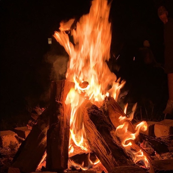 Meet your Posher, Riley - Picture 5 of 5